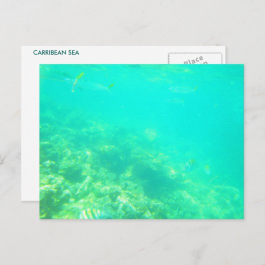 CARRIBEAN SEA POSTCARD 12 POSTKARTE (Vorne/Hinten)