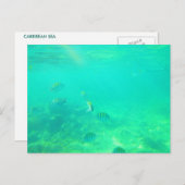 CARRIBEAN SEA POSTCARD 14 POSTKARTE (Vorne/Hinten)