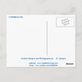 CARRIBEAN SEA POSTCARD POSTKARTE (Rückseite)