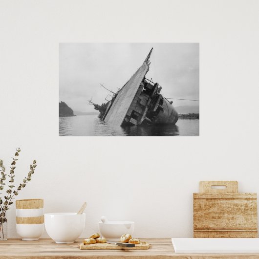 Carrier Amagi Poster (Küche)