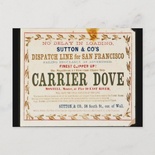 Carrier Dove Clipper Segeln Postkarte (Vorderseite)