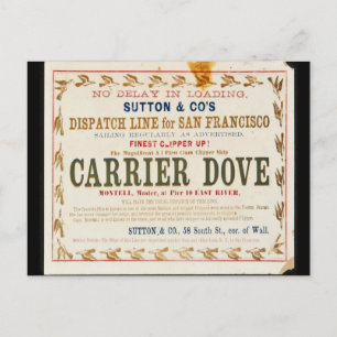 Carrier Dove Clipper Segelschiff  Postkarte