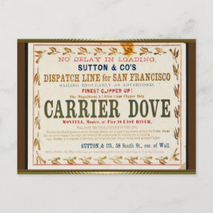 Carrier Dove Clipper Segelschiff  Postkarte