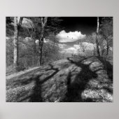 Carrion. Poster (Vorne)