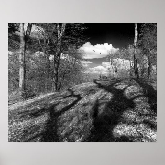 Carrion. Poster (Vorne)