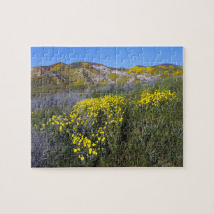 Carrizo Plain National Monument Puzzle