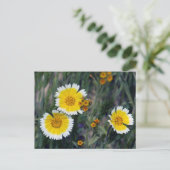 Carrizo Schlichte Wildblumen Postkarte (Stehend Vorderseite)