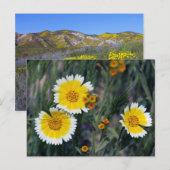 Carrizo Schlichte Wildblumen Postkarte (Vorne/Hinten)