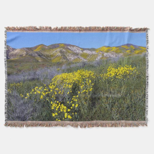 Carrizo Schlichtes Nationaldenkmal Decke (Vorderseite)