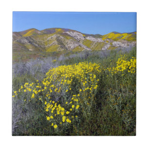 Carrizo Schlichtes Nationaldenkmal Fliese