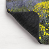 Carrizo Schlichtes Nationaldenkmal Mousepad (Ecke)