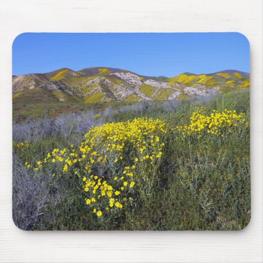 Carrizo Schlichtes Nationaldenkmal Mousepad (Vorne)