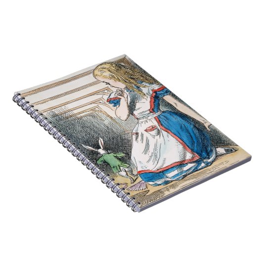 Carroll: Alice, 1865 Notizblock (Rechte Seite)