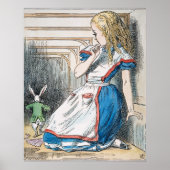 Carroll: Alice, 1865 Poster (Vorne)