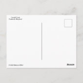 Carroll Creek Frederick Maryland #5 Postkarte (Rückseite)