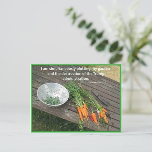 Carrot Garening & Plotting & Resistent Trump Postkarte (Stehend Vorderseite)