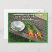 Carrot Garening & Plotting & Resistent Trump Postkarte (Vorne/Hinten)