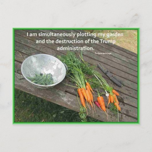 Carrot Garening & Plotting & Resistent Trump Postkarte (Vorderseite)