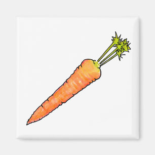 Carrot Magnet