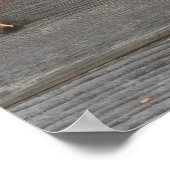 Carrot Poster (Ecke)