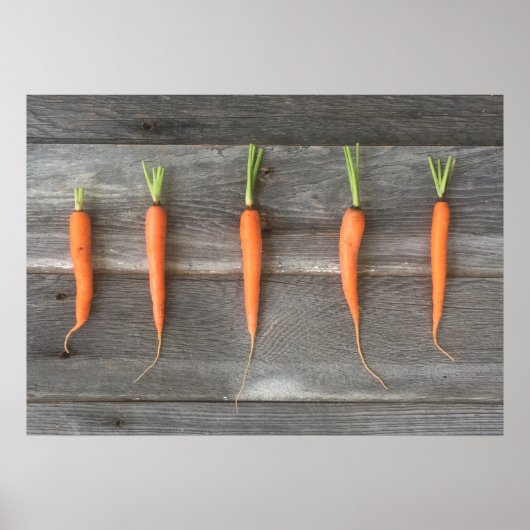 Carrot Poster (Vorne)