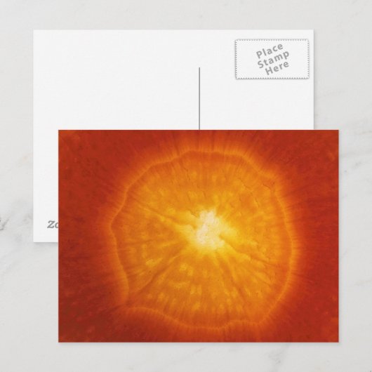 Carrot Postkarte (Vorne/Hinten)