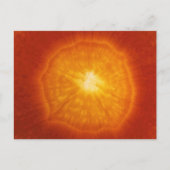 Carrot Postkarte (Vorderseite)