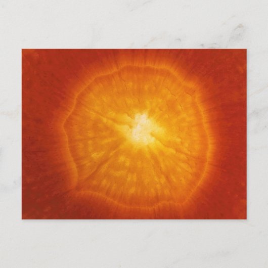 Carrot Postkarte (Vorderseite)