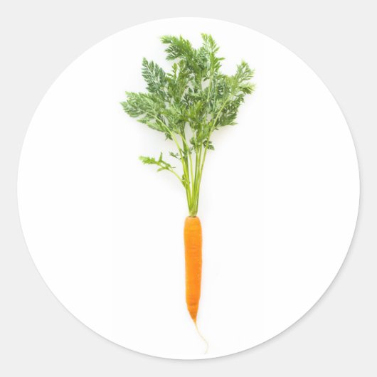 Carrot Runder Aufkleber (Vorderseite)