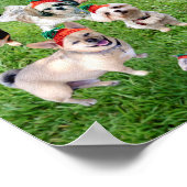 Carrot Top Bunny Daycare 2015 Poster (Ecke)