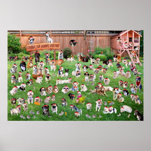 Carrot Top Bunny Daycare 2015 Poster (Vorne)