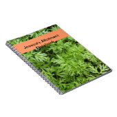 Carrot Tops Alloy-Notebook Notizblock (Rechte Seite)