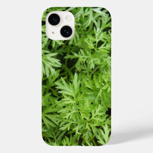 Carrot Tops Case-Mate iPhone Hülle (Rückseite)