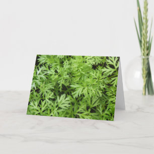 Carrot Tops Grußkarte Karte