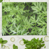 Carrot Tops Küchentücher (Gefaltet)