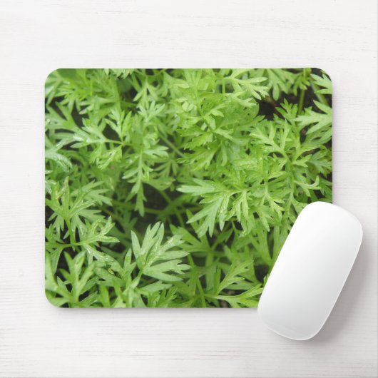 Carrot Tops Mousepad (Mit Mouse)