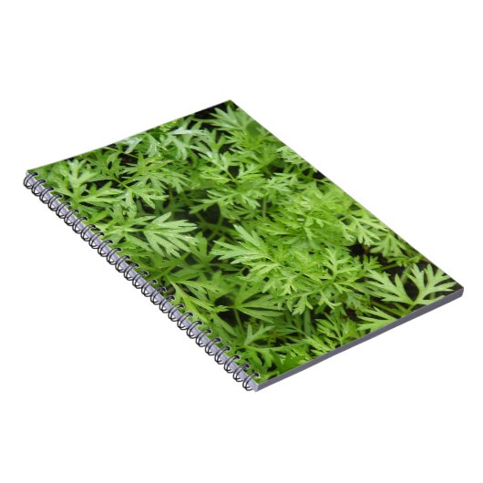 Carrot Tops Notebook Notizblock (Rechte Seite)