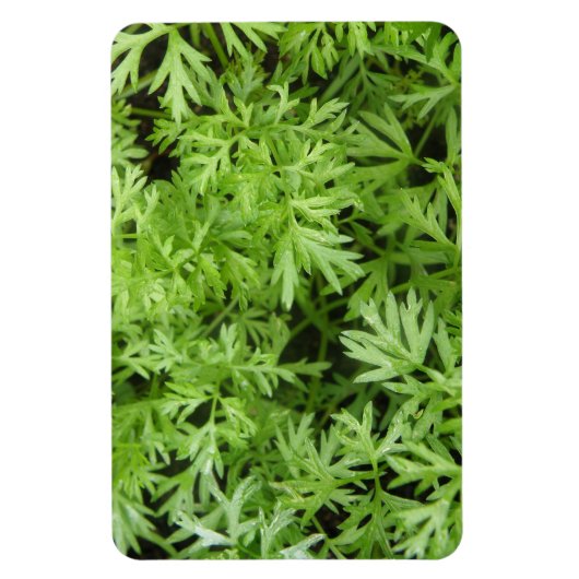 Carrot Tops Premium Magnet (Vertikal)