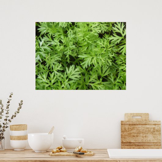 Carrot Tops Print Poster (Küche)