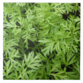 Carrot Tops Tile Fliese (Vorderseite)
