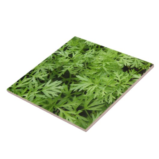 Carrot Tops Tile Fliese (Seite)