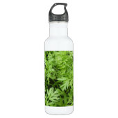 Carrot Tops Trinkflasche (Vorderseite)