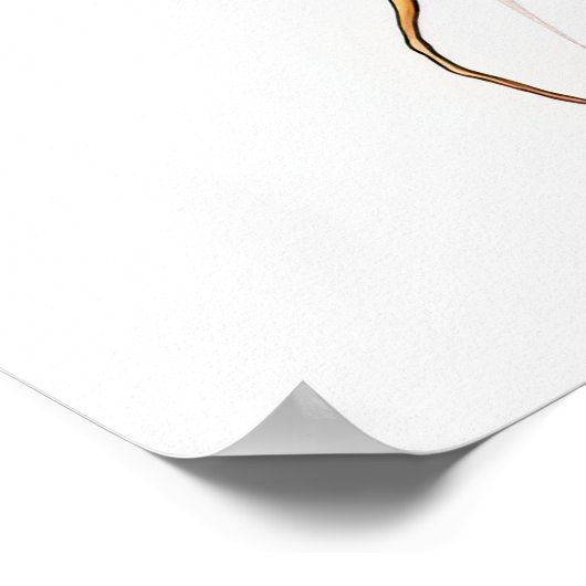 CARROTS druckbar Poster (Ecke)