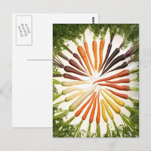 Carrots farbiges Gartenmuster Postkarte (Vorne/Hinten)