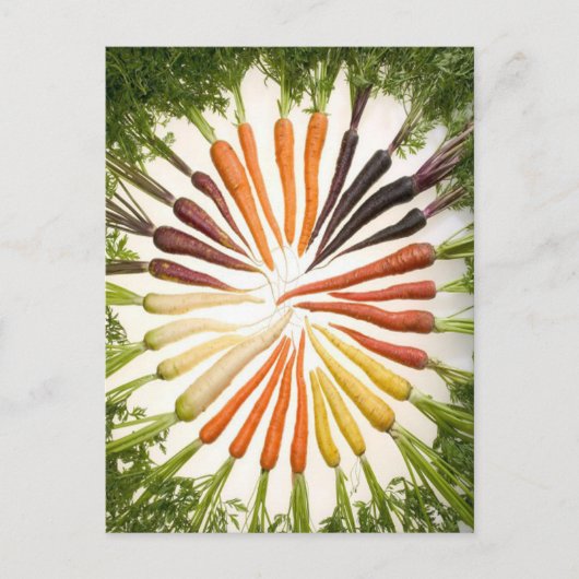 Carrots farbiges Gartenmuster Postkarte (Vorderseite)