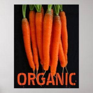 Carrots Frisch aus dem Garten Poster