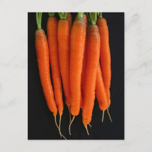Carrots Frisch aus dem Garten Postkarte
