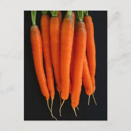 Carrots Frisch aus dem Garten Postkarte (Vorderseite)
