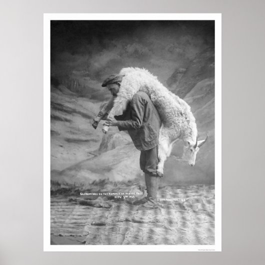 Carry Goat Alaska 1905 Poster (Vorne)