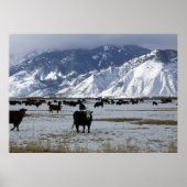Carson Valley Poster (Vorne)